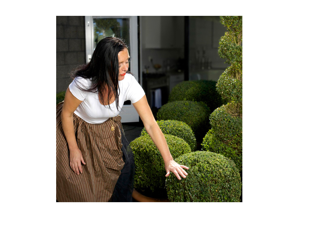 0035_buxus