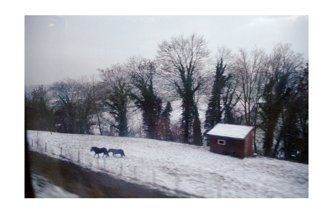 03_schinopgeul