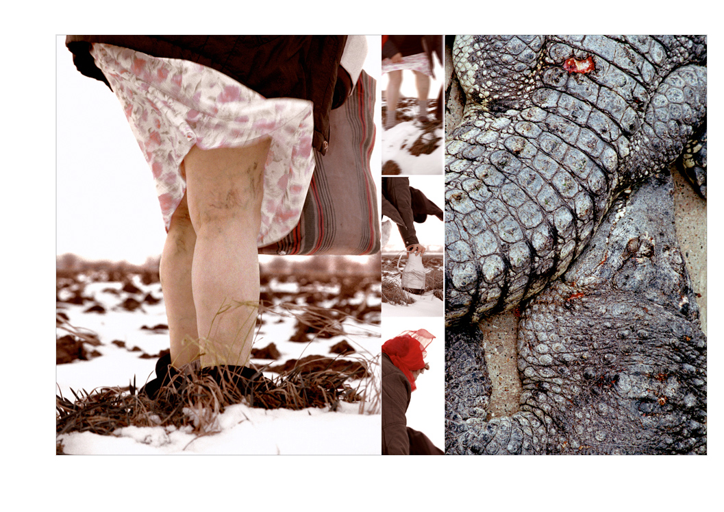 10_krokodil
