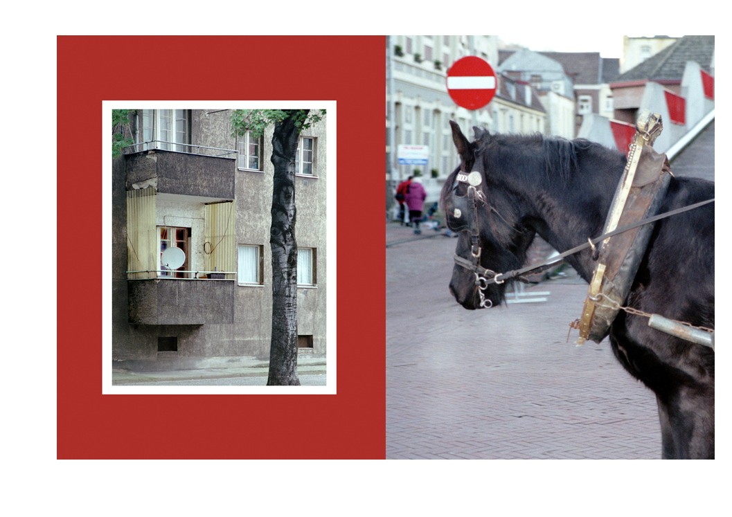 23_paard